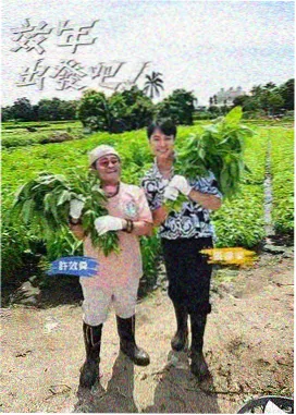 山海食堂 免费在线看视频